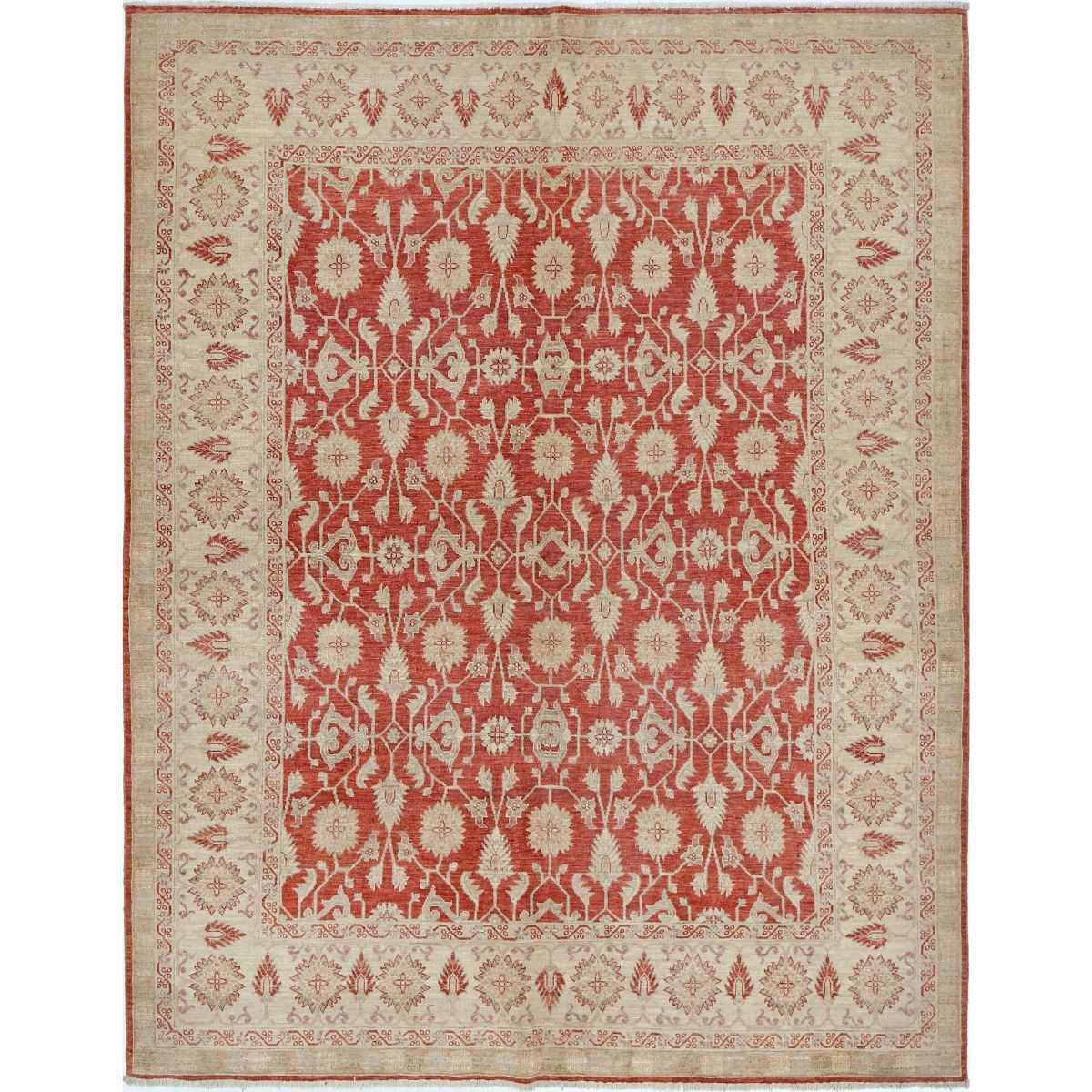 Ziegler 6x8 Handmade Double Knotted Washable Wool Rug - Colorful