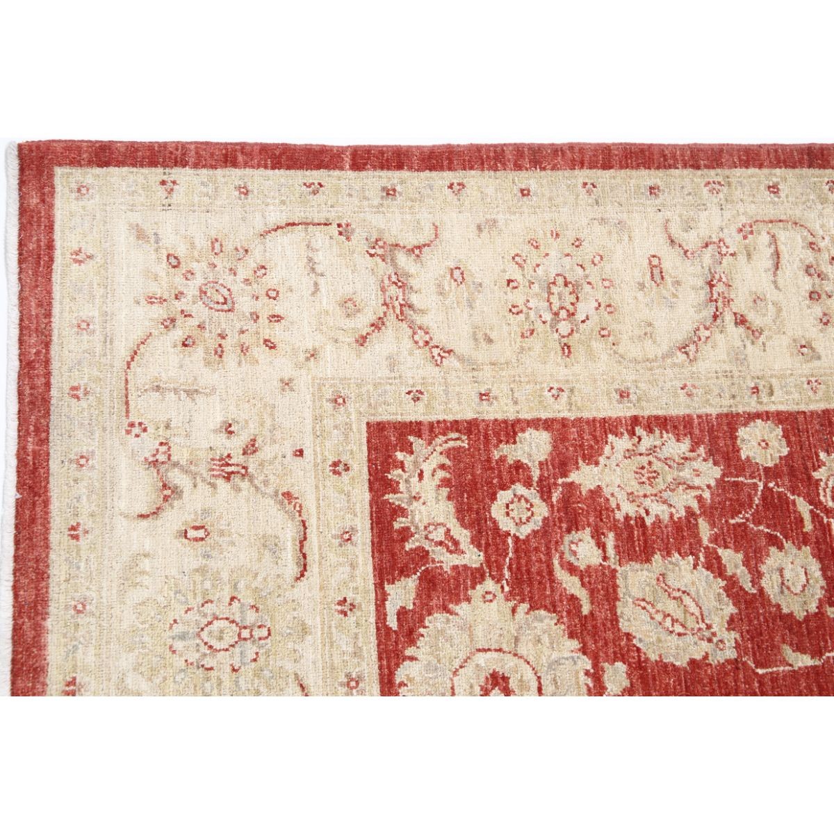 Ziegler 6x8 Handmade Double Knotted Washable Wool Rug - Colorful