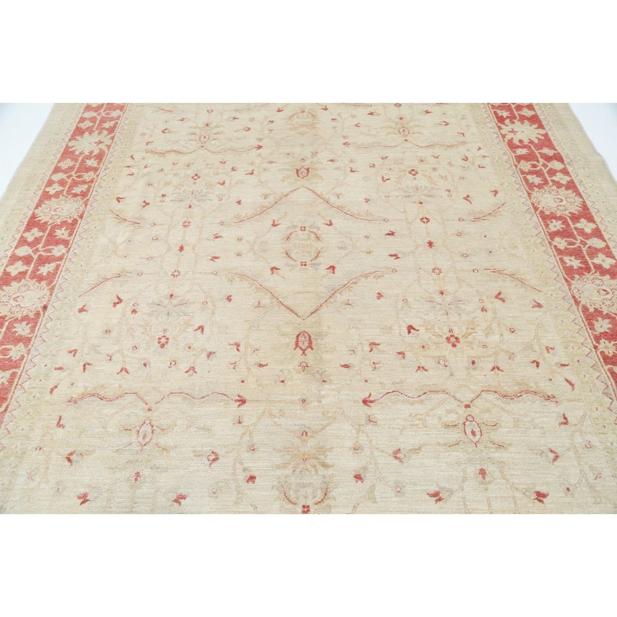 Ziegler 8x10 Handmade Double Knotted Washable Wool Rug - Soft Hues