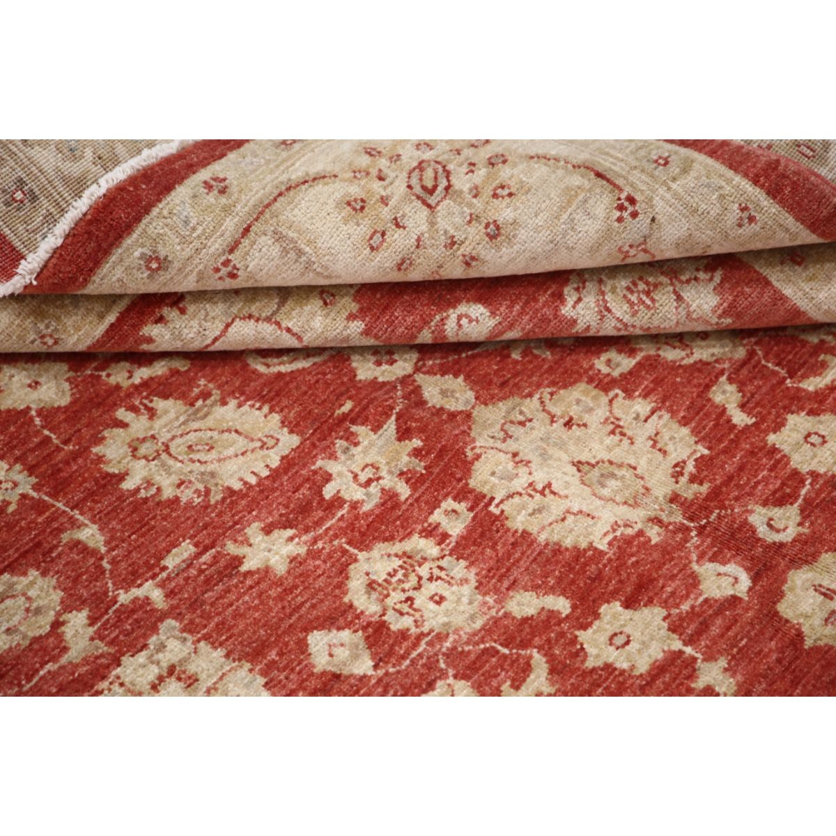 Ziegler 6x8 Handmade Double Knotted Washable Wool Rug - Colorful