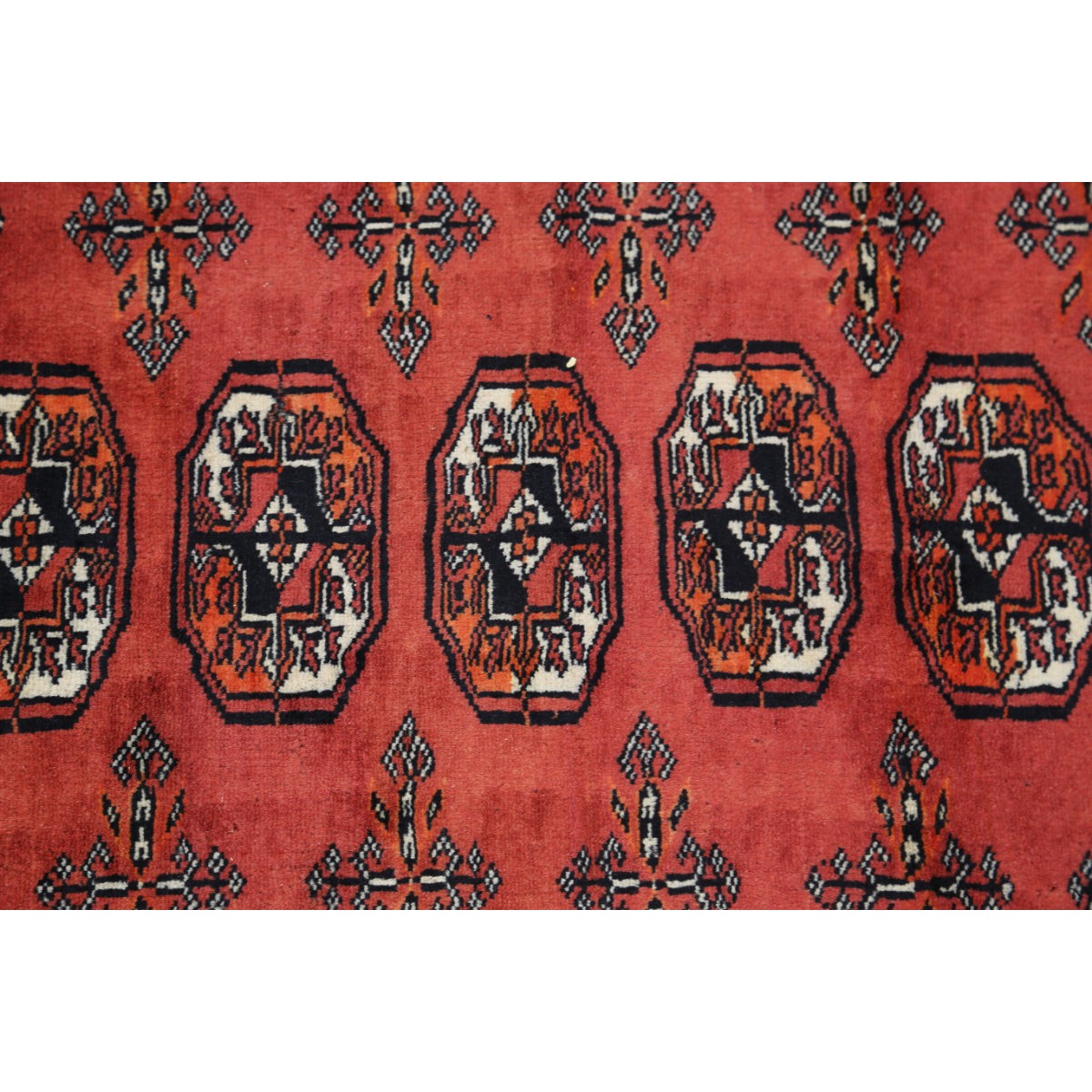 Bokhara 12x18 Handmade Double Knotted Washable Wool Rug - Colorful