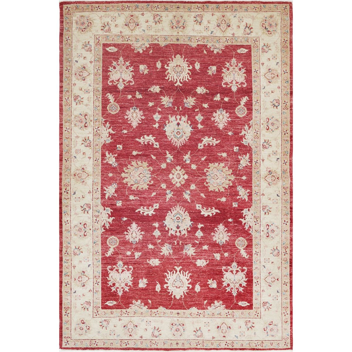 Ziegler 6x9 Handmade Double Knotted Washable Wool Rug - Colorful