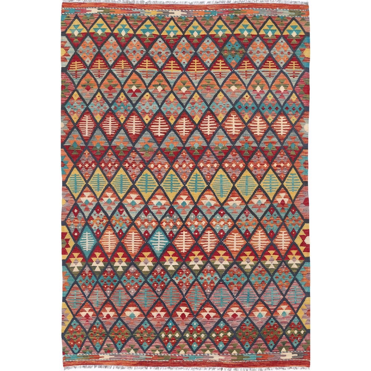 Maimana 6x9 Hand Woven Washable Wool Rug - Colorful