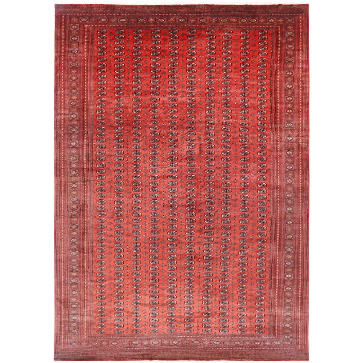 Bokhara 12x18 Handmade Double Knotted Washable Wool Rug - Colorful