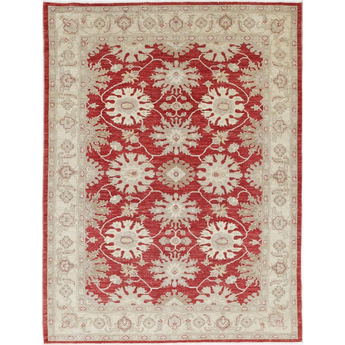 Ziegler 6x8 Hand-Knotted Washable Wool Rug - Colorful