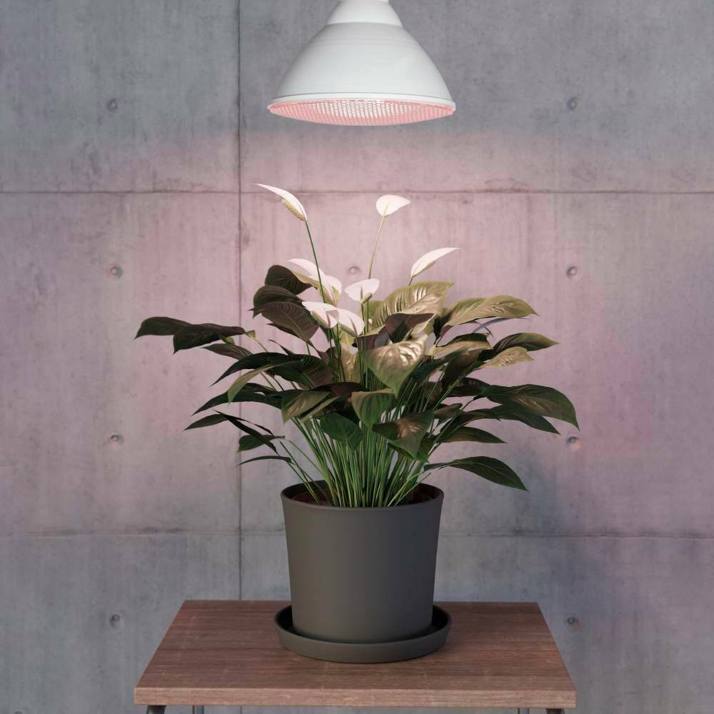 Eglo 110232 E27-Led-Par38 Ampul 1X16W Beyaz