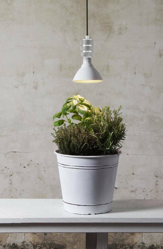 Eglo 110231 E27-Led-Par38 Ampul 1X16W Beyaz