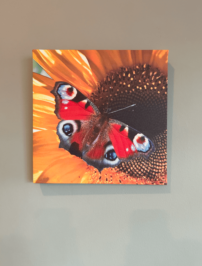 Eglo 75037 30X30Cm Ölçülerinde Kelebek Pilli Ledli Tablo