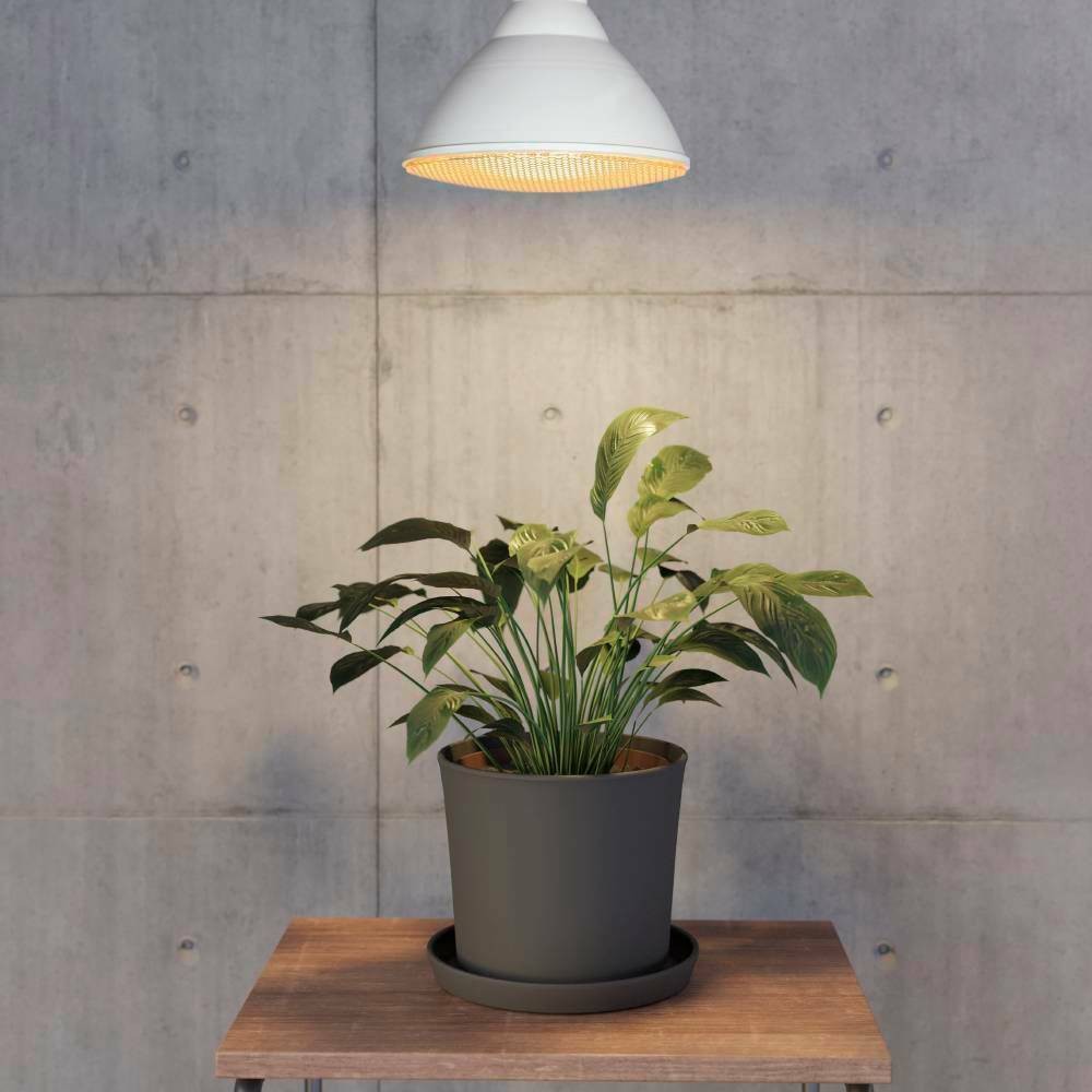 Eglo 110231 E27-Led-Par38 Ampul 1X16W Beyaz