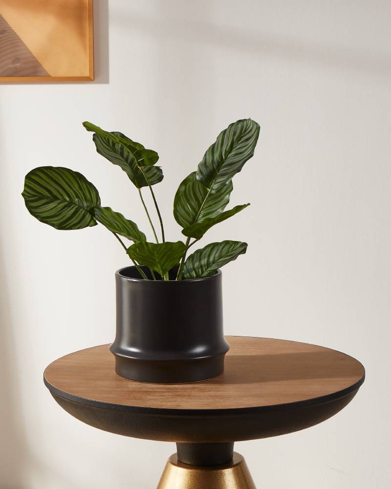 Eglo 428152 "PARKENT" 16 Cm Yüksekliğinde Dekoratif Saksı