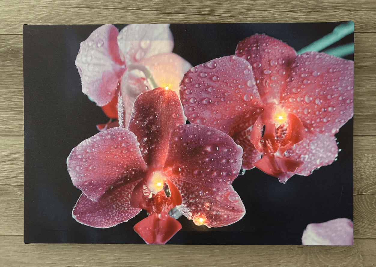 Eglo 75036 45X30Cm Ölçülerinde Orkide Pilli Ledli Tablo