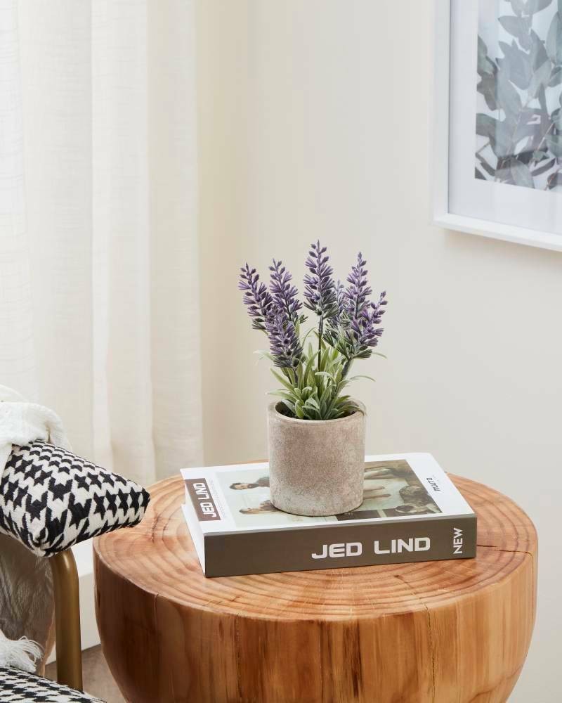 Eglo 428031 "CHITOSE" 22 Cm Yüksekliğinde Plastik Kahverengi Saksıda Yapay Çiçek