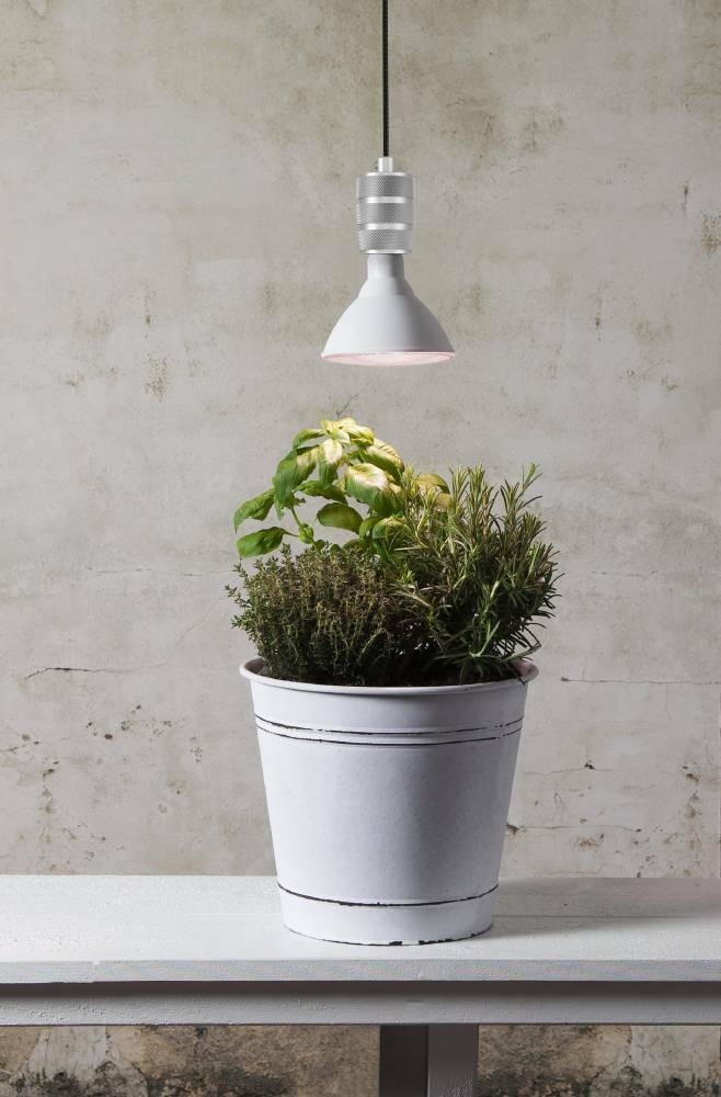 Eglo 110232 E27-Led-Par38 Ampul 1X16W Beyaz
