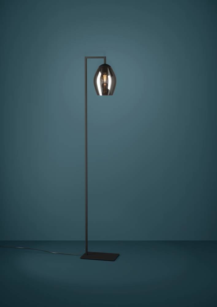 Eglo 390256 "ESTANYS" 171,5 Cm Yüksekliğinde Çelik Köşe Lambası Lambader