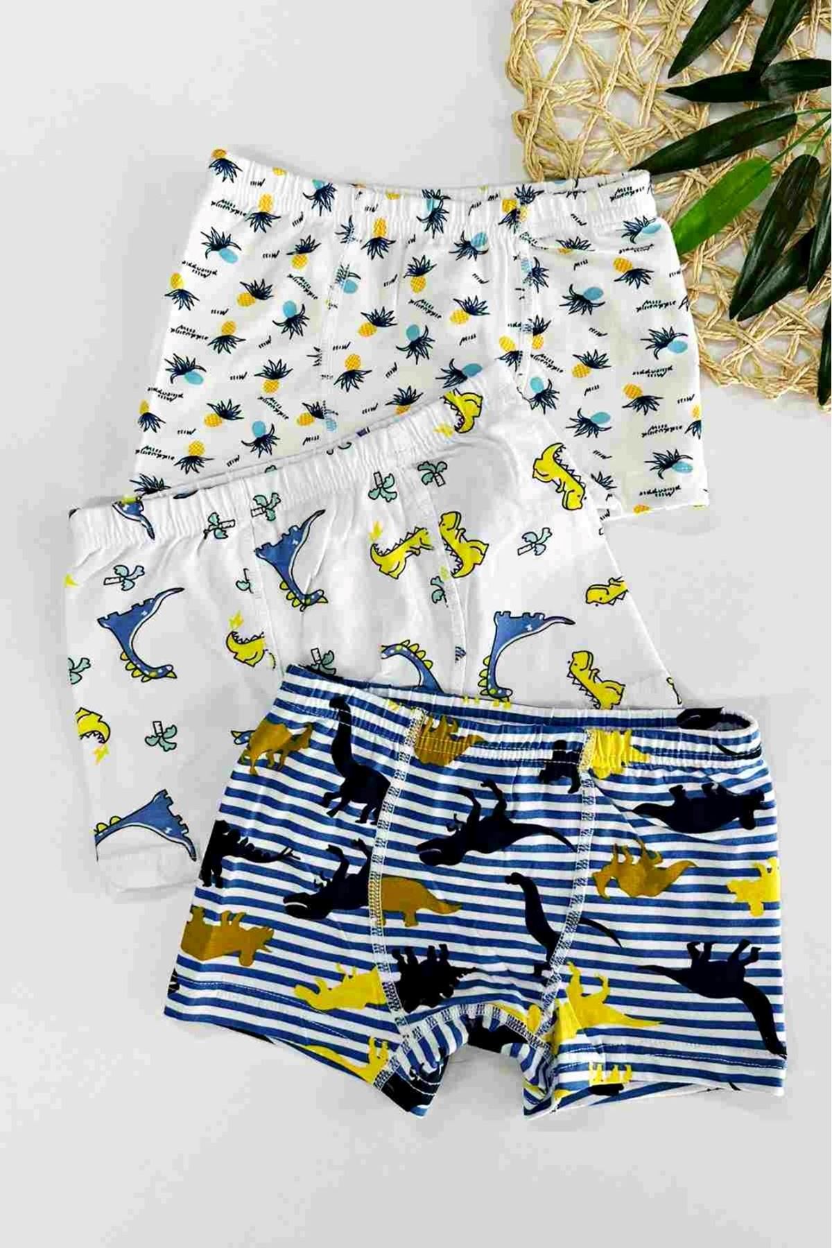3'LÜ DİNAZOR DESEN BOXER SET