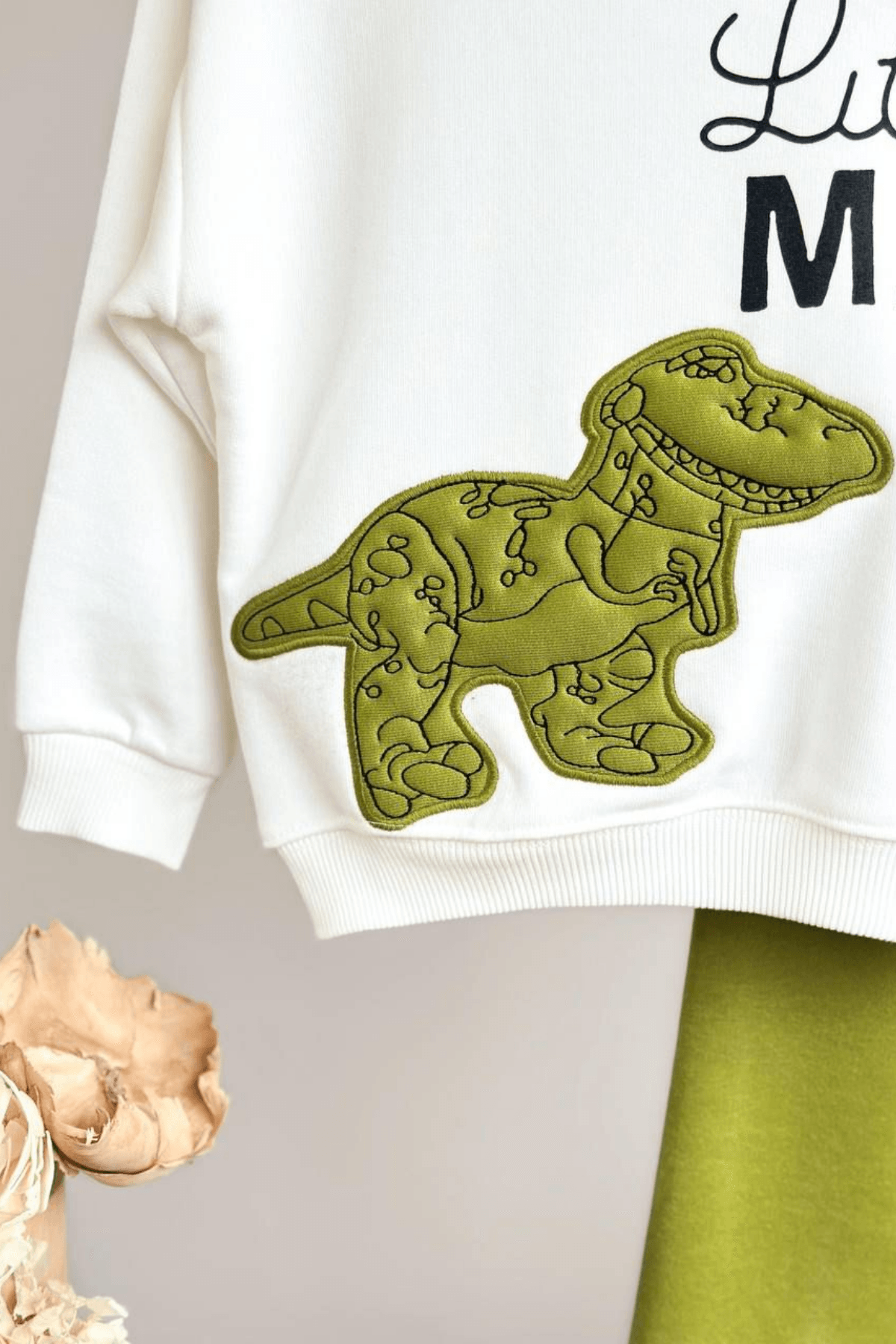 LITTLE MAN DINO DESENLİ ERKEK ÇOCUK EŞOFMAN TAKIMI  – Yeşil