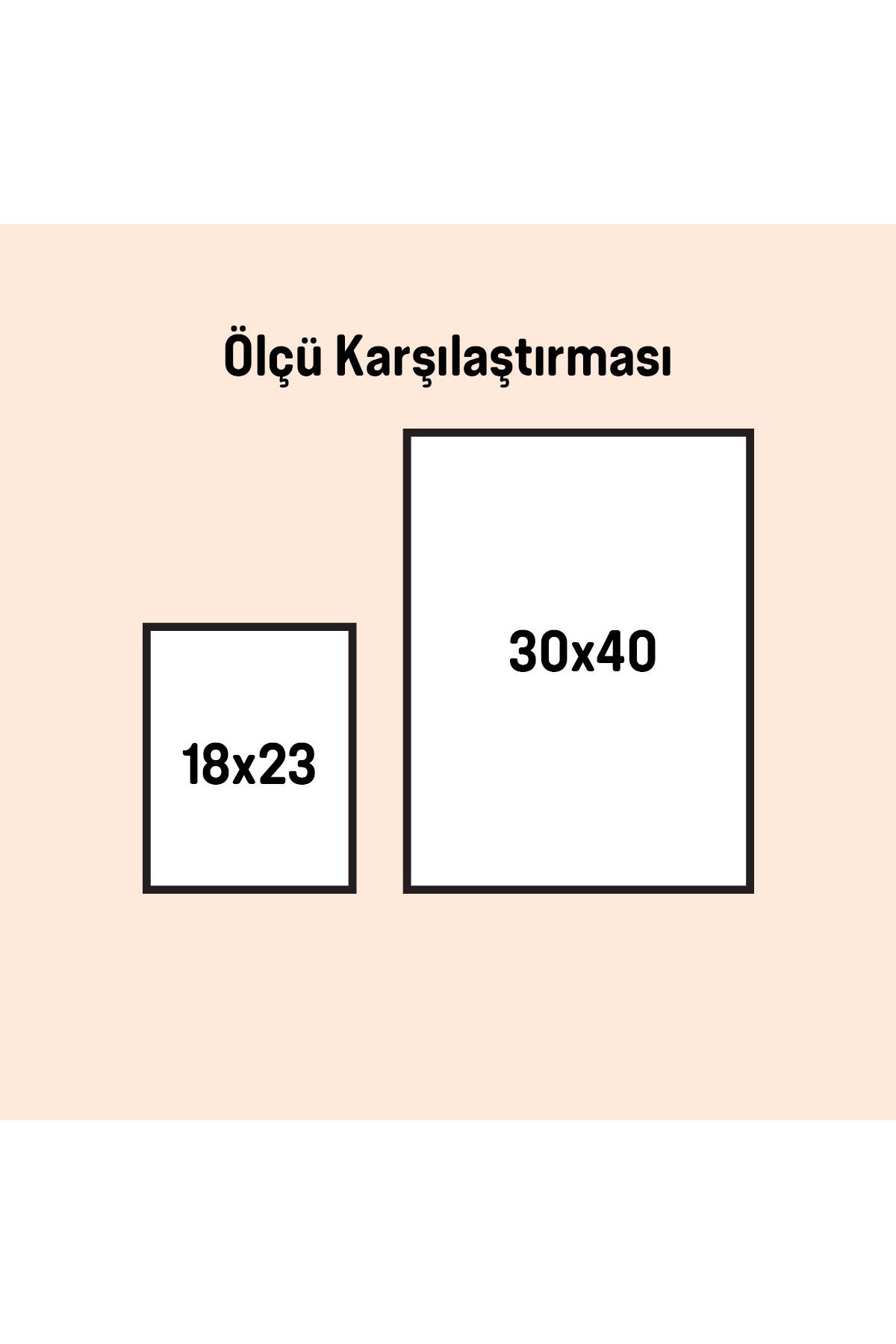 Ahşap Çerçeveli 4lü Tablo Seti Flower Garden