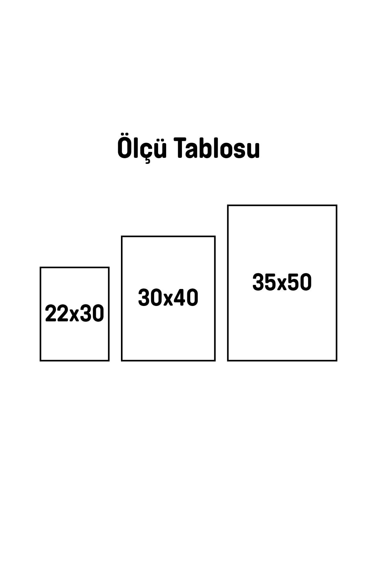 Çerçeveli Dekoratif Çocuk Odası Tablo Seti Kardan Adam