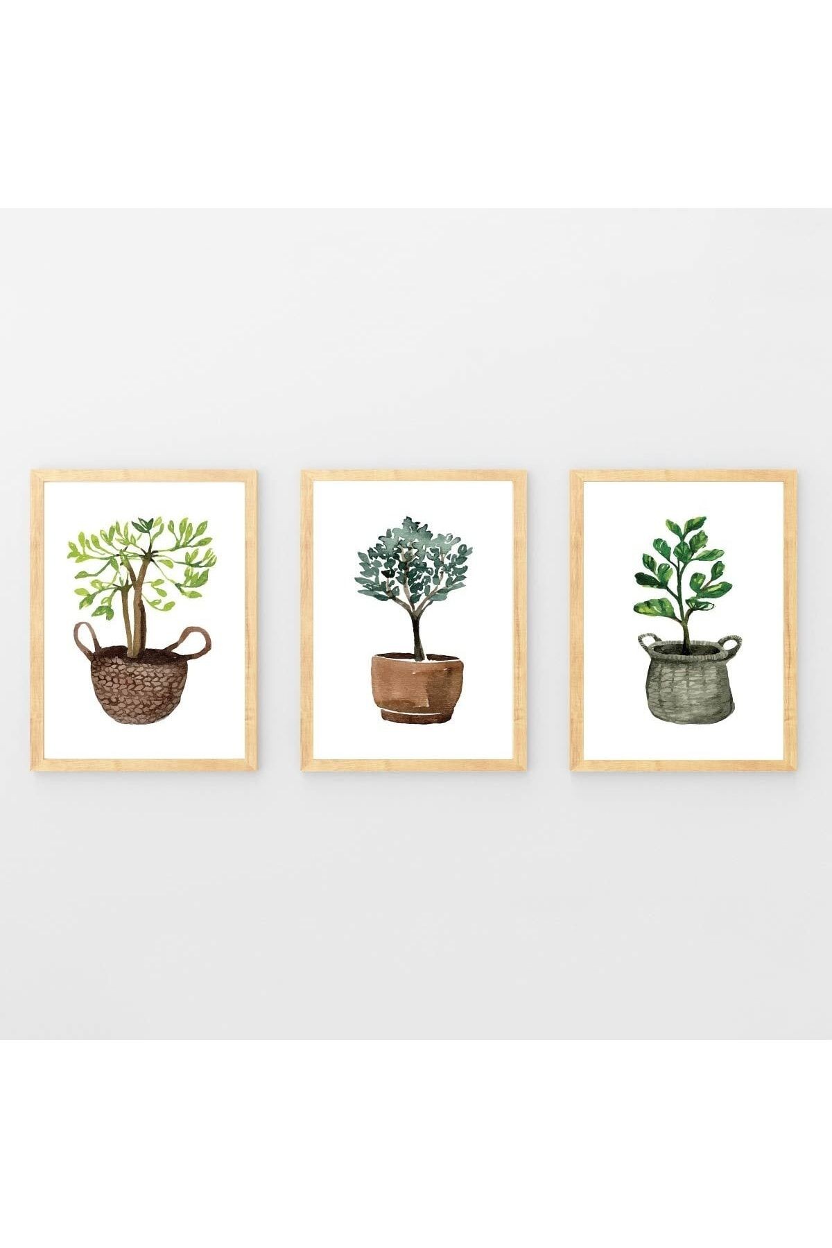 Ahşap Çerçeveli Minimalist 3lü Dekoratif Tablo Seti Saksıda Bitki