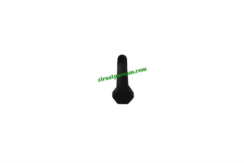 ALPLER 3/4" 100 CİVATA