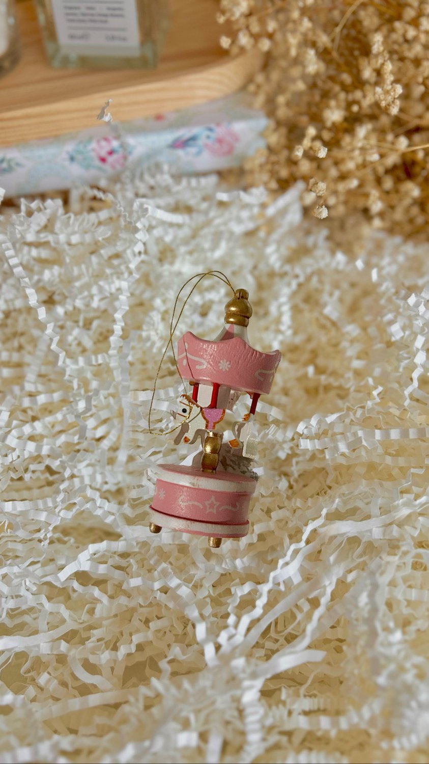 Mini Atlı Karınca