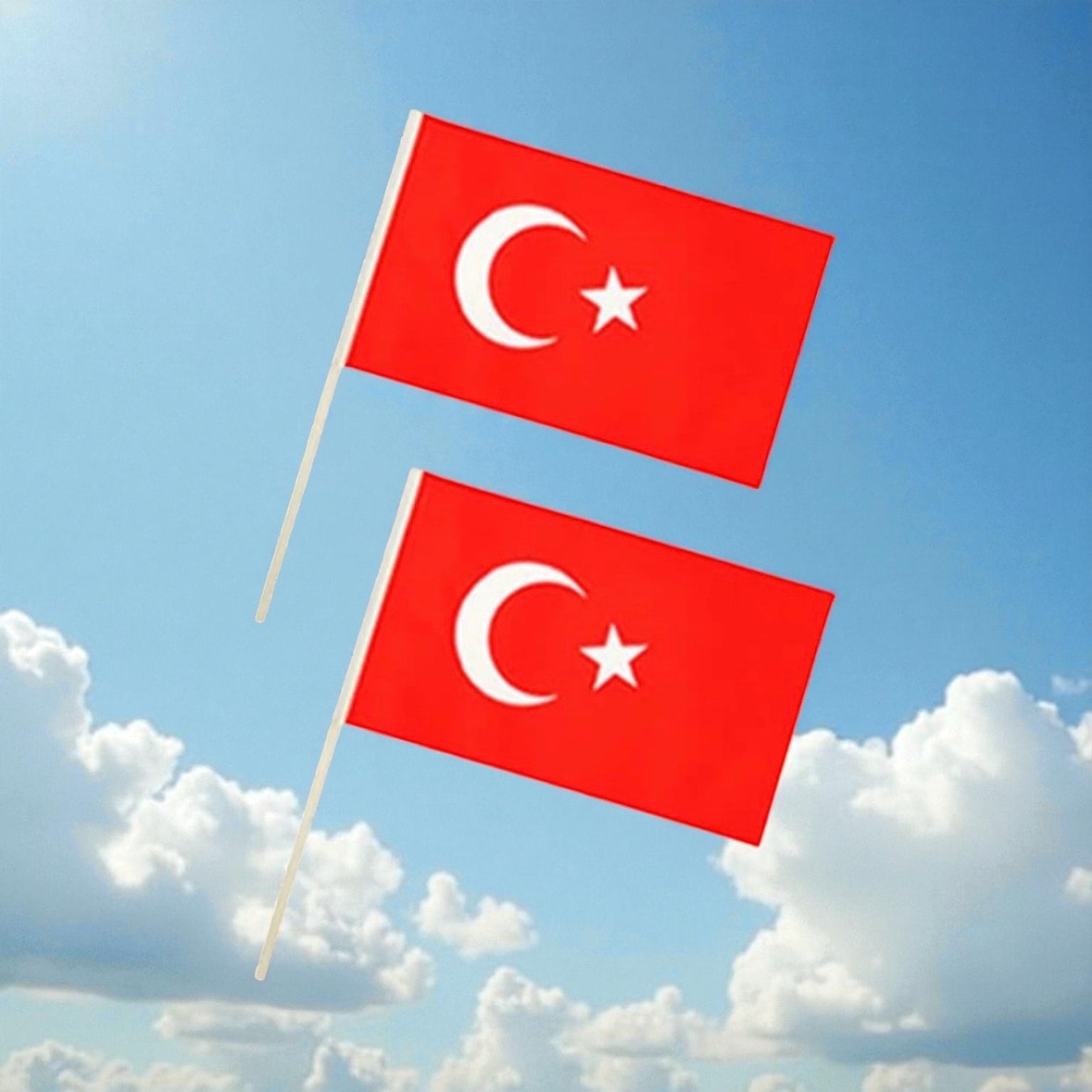 Çıtalı Türk Bayrağı - Bayrak 5’li