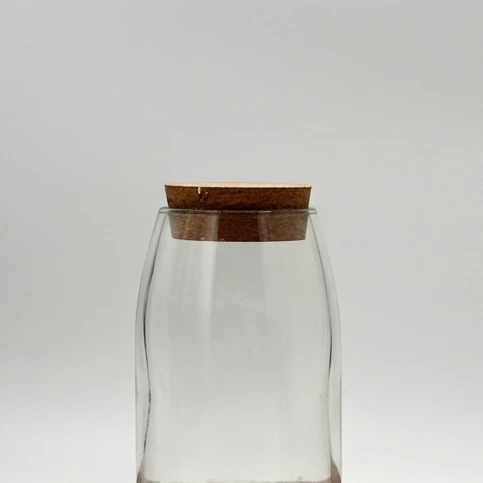 NatureCap – Mantar Kapaklı Upcycle Cam Kavanoz