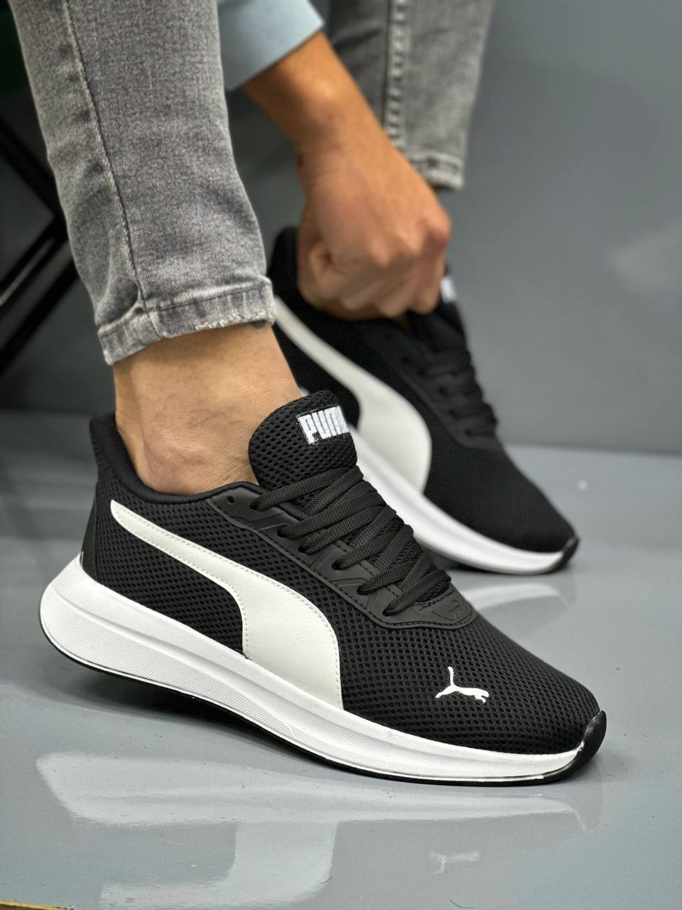 Puma Court