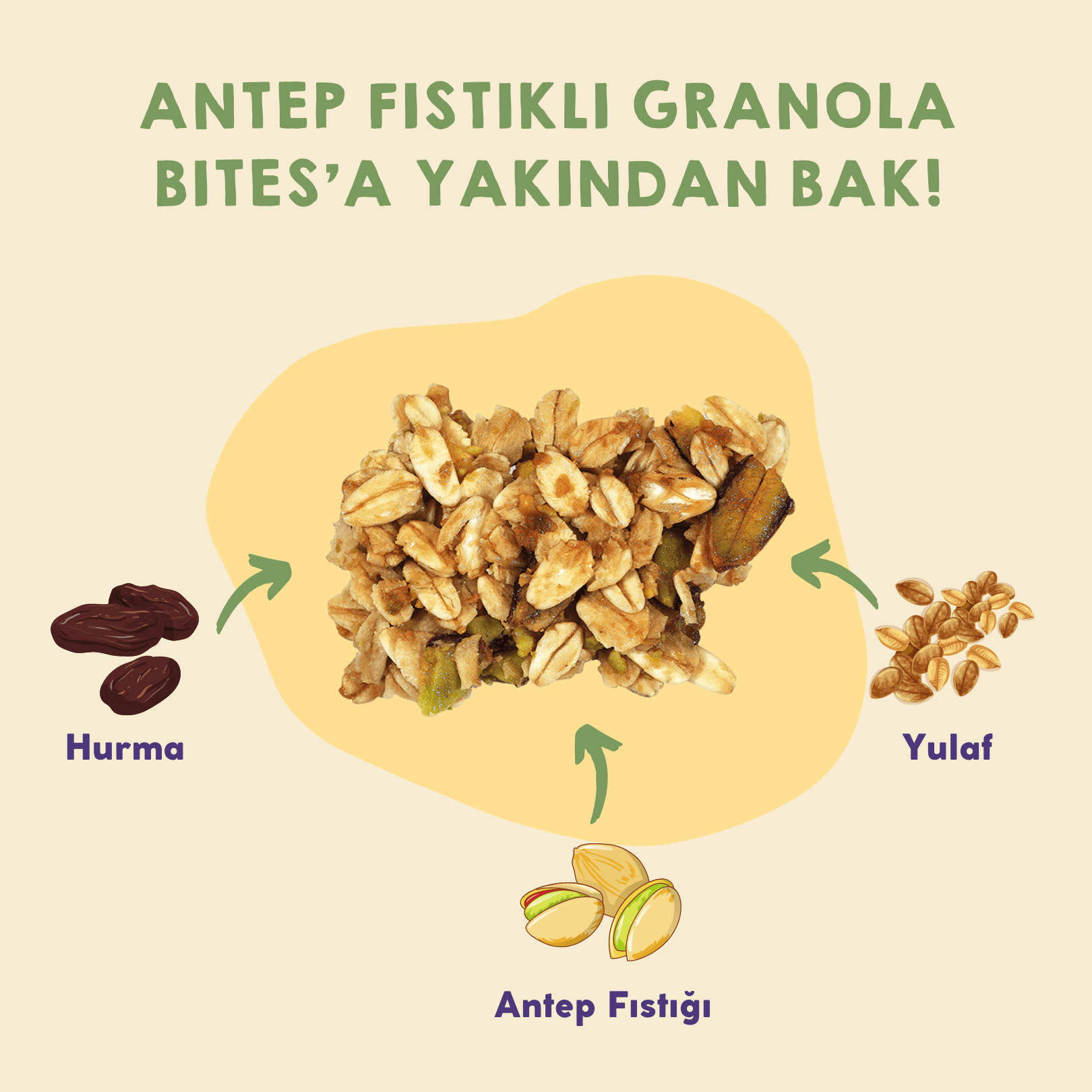 40gr 12'li Antep Fıstıklı Granola Bites