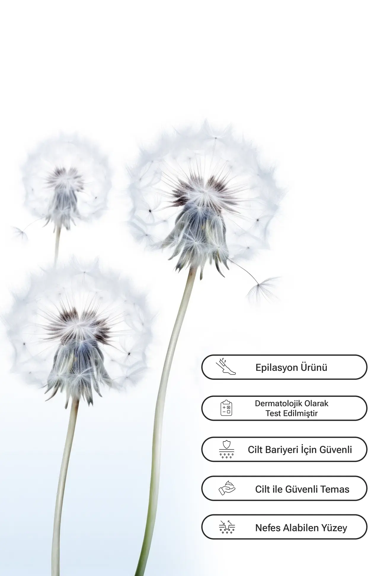 SUBO AĞDA BEZİ DİLİMLİ 10 mt