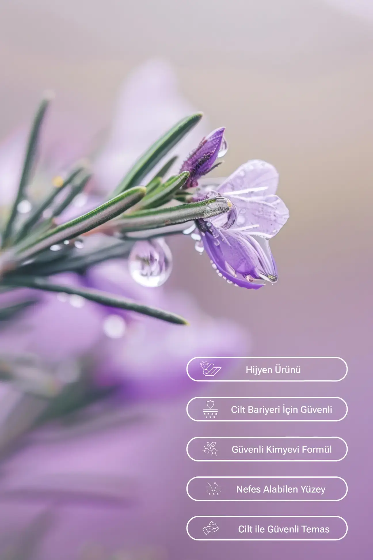 SUBO YÜZEY TEMİZLİK HAVLUSU  LAVANTA FERAHLIĞI 50'li