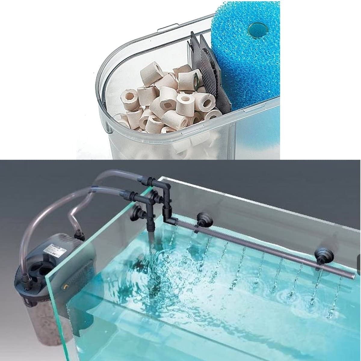 Oase Eden 501 Mini Dış Filtre 300 l/h