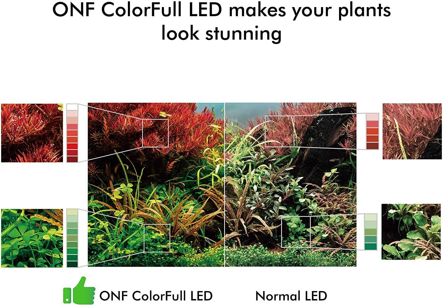 ONF Flat Nano +