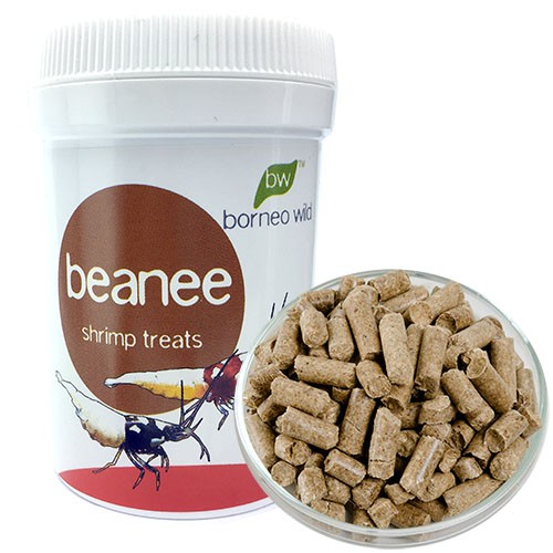 BorneoWild Beanee 50g