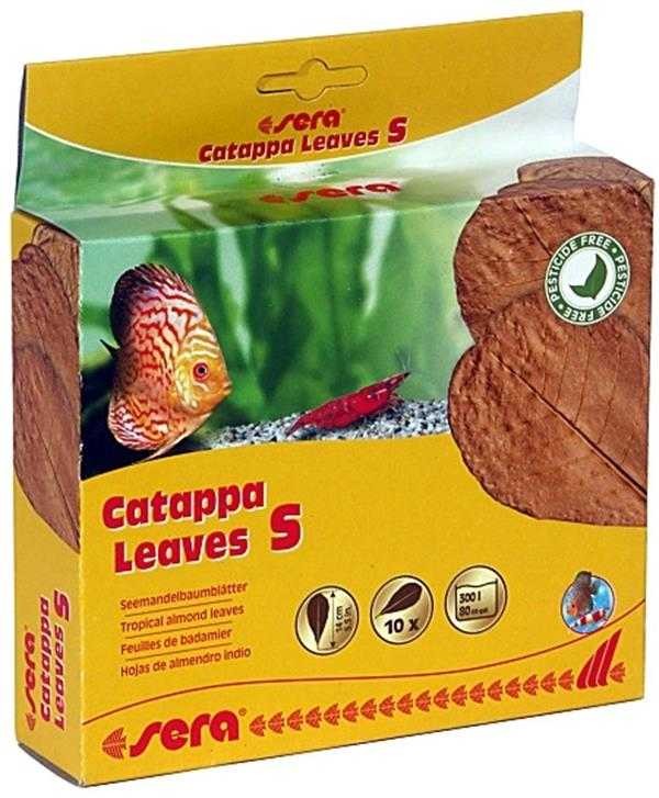 Sera Catappa Yaprağı Small 14 cm 10'Lu Paket