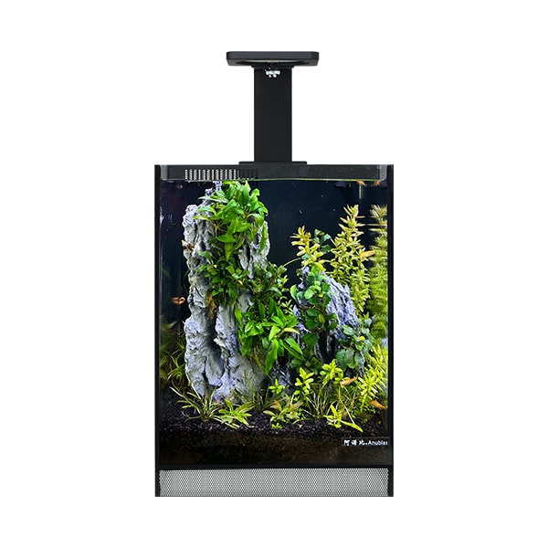 Anubias S-2535 Nano Akvaryum Seti