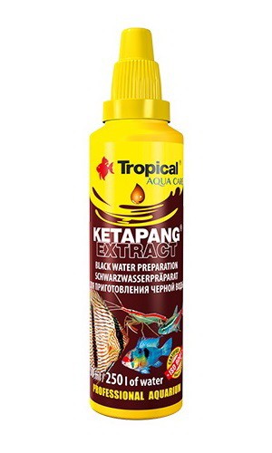Tropical Ketapang Extract Su Düzenleyici 50 ML