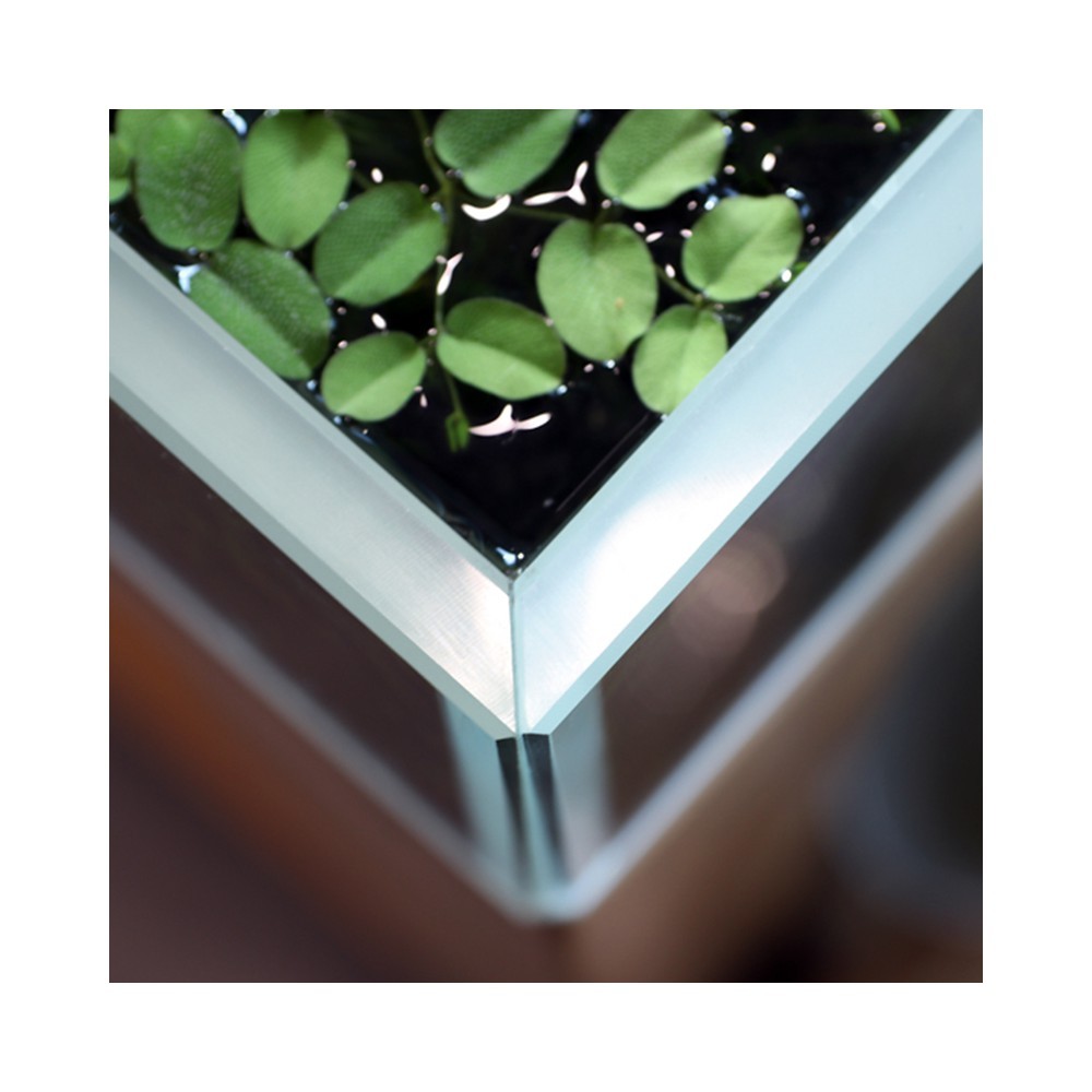 Creaqua Crystal Akvaryum 40x40x30cm (opti-white)