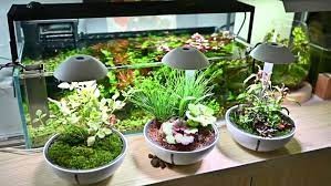Chihiros Tiny Terrarium Egg