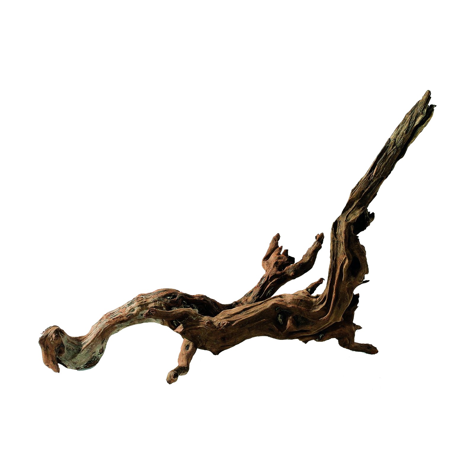 Ada Horn Wood -XL-