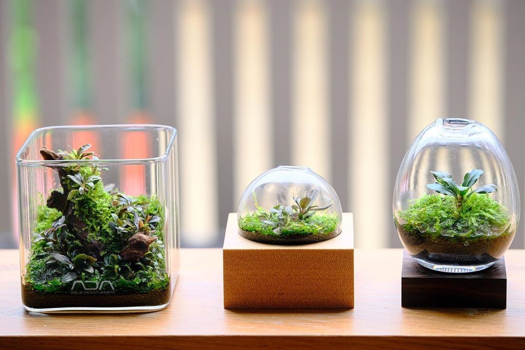 ADA Glass Pot Kaku -S-