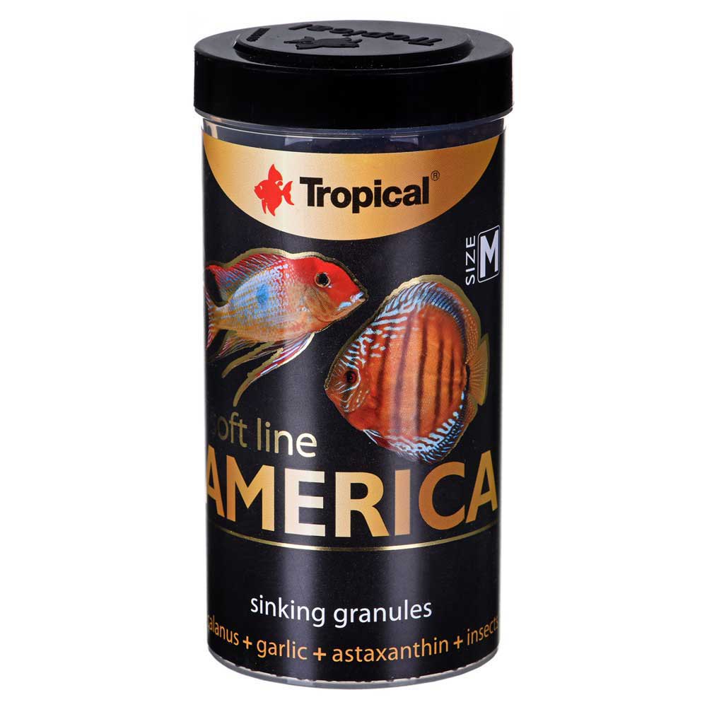 Tropical Soft Line America Size M 100 ML