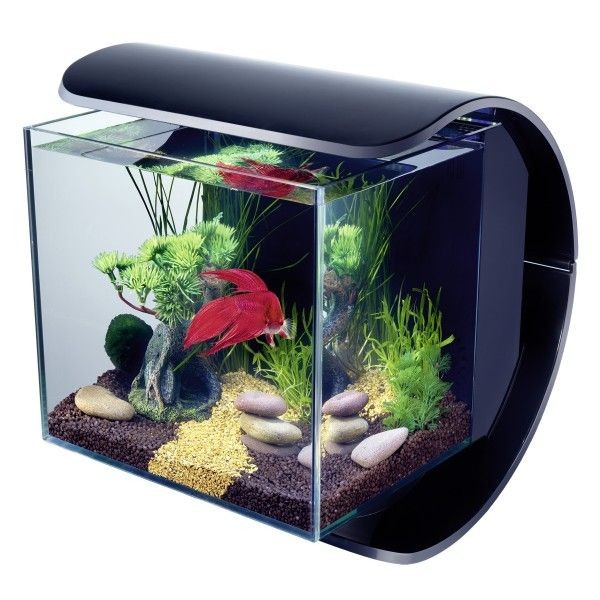 Tetra SILHOUETTE Mini Led Akvaryum 12 Lt