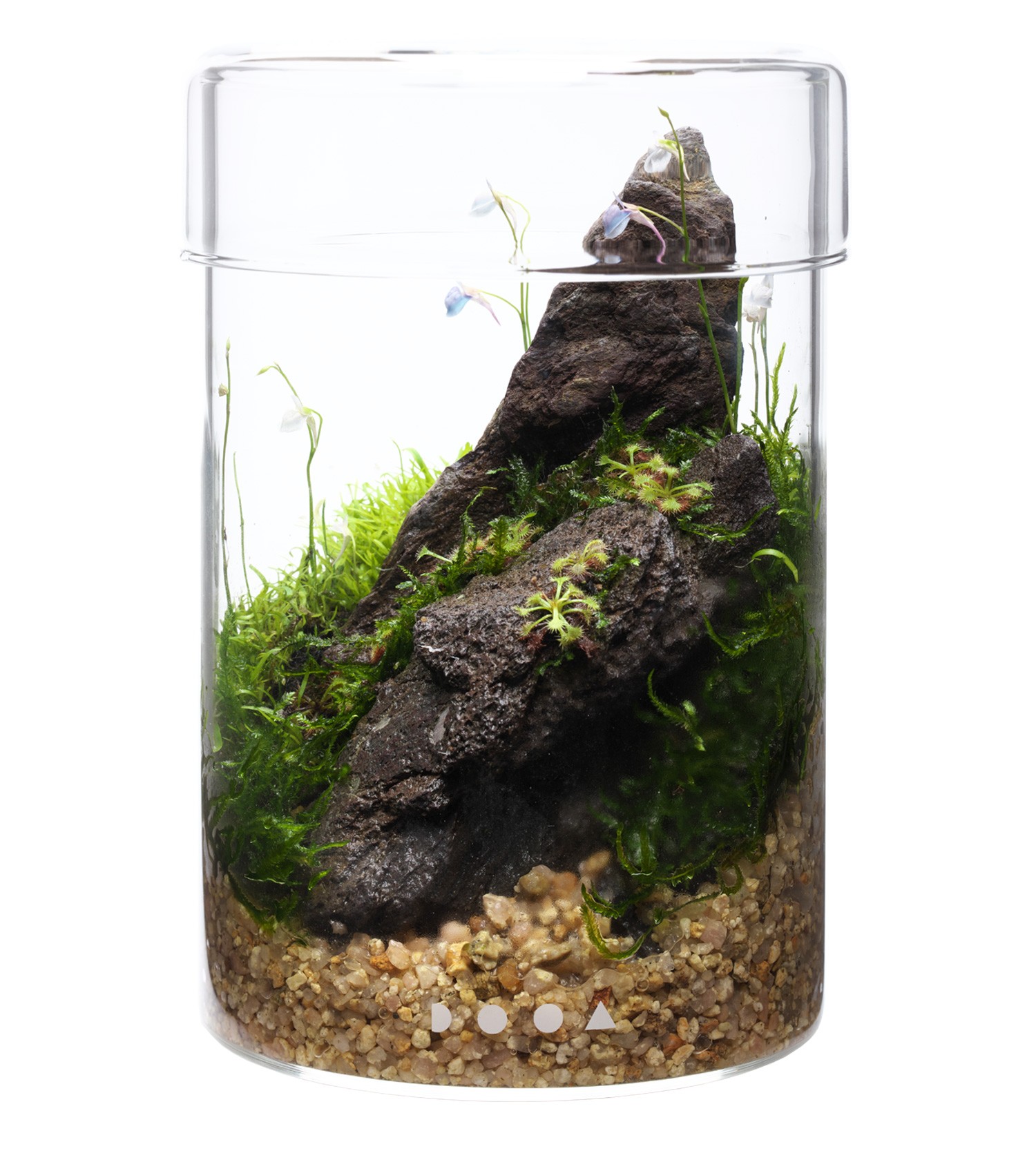 ADA DOOA Glass Pot Maru
