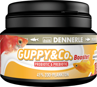 Dennerle Guppy&amp;amp;Co Booster 45g