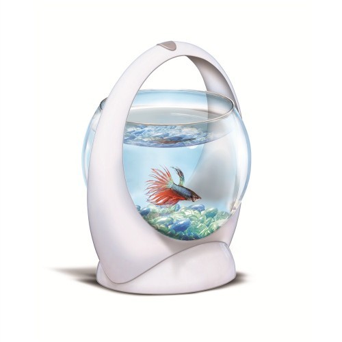 Tetra BETTA RING Akvaryum