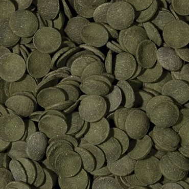 Tropical Green Algae Wafers 250ml/113g