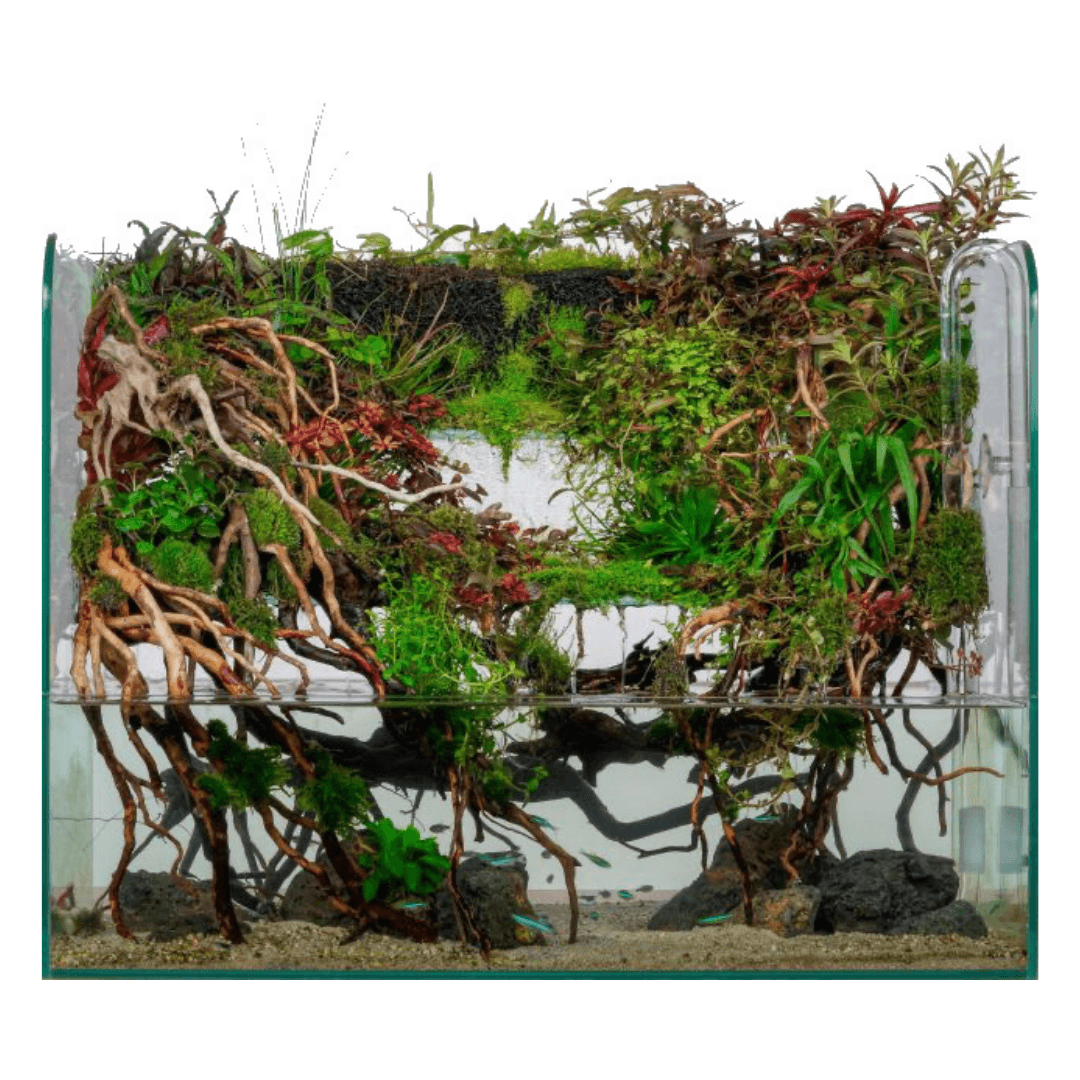 ADA DOOA Waterfall 60x45x45