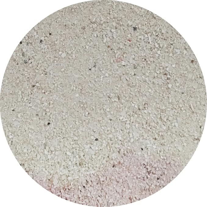 Jun Palauan Sand - Doğal Mercan Kumu - 5kg