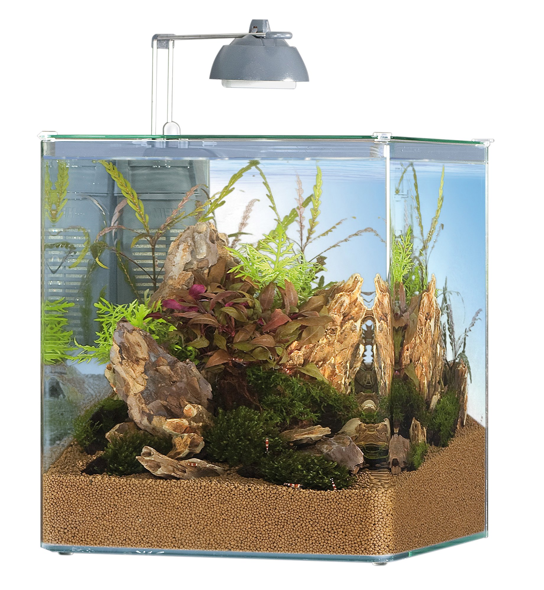 Eheim AQUASTYLE 16L Nano Akvaryum